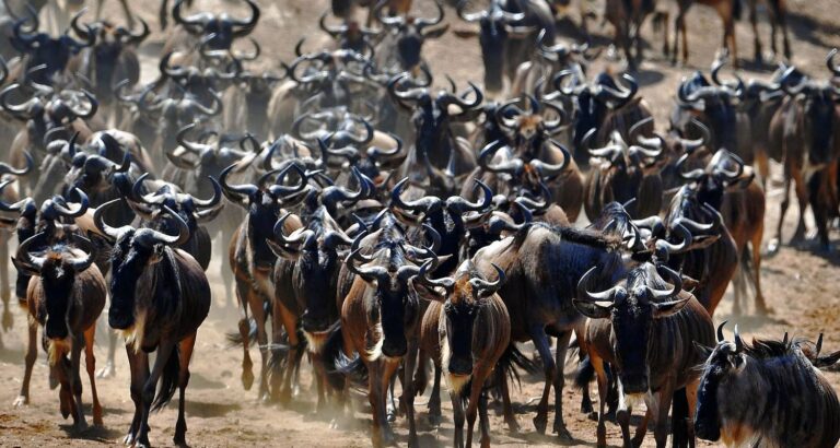 Serengeti National Park