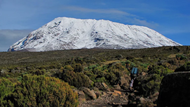 Climbing Mount Kilimanjaro