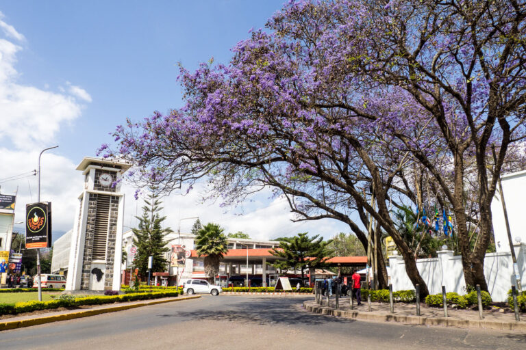 10 Unmissable Things to do in Arusha