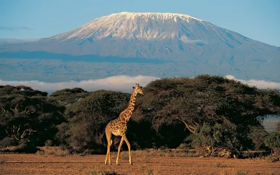 CLIMBING KILIMANJARO