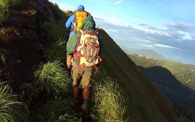 Call Tanzania Safaris